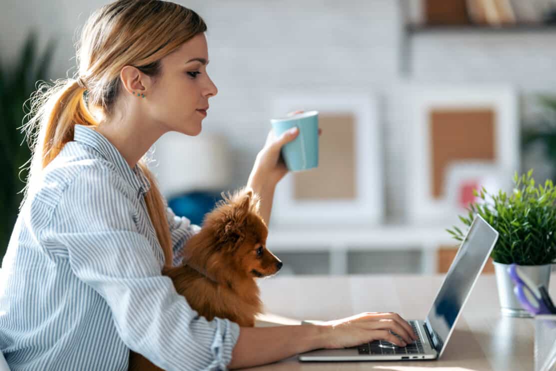 lovely-dog-looking-the-laptop-while-her-beautiful-owner-working