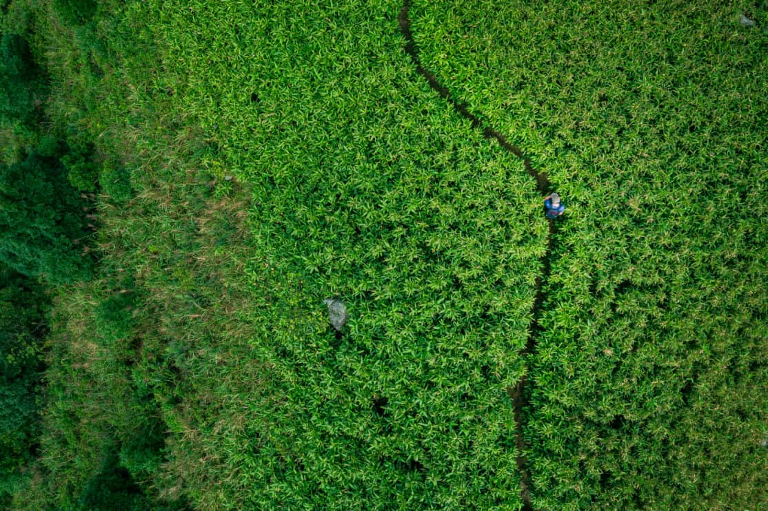 hiking-path-from-aerial-view-sai-kung-hong-kong