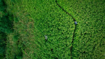 hiking-path-from-aerial-view-sai-kung-hong-kong