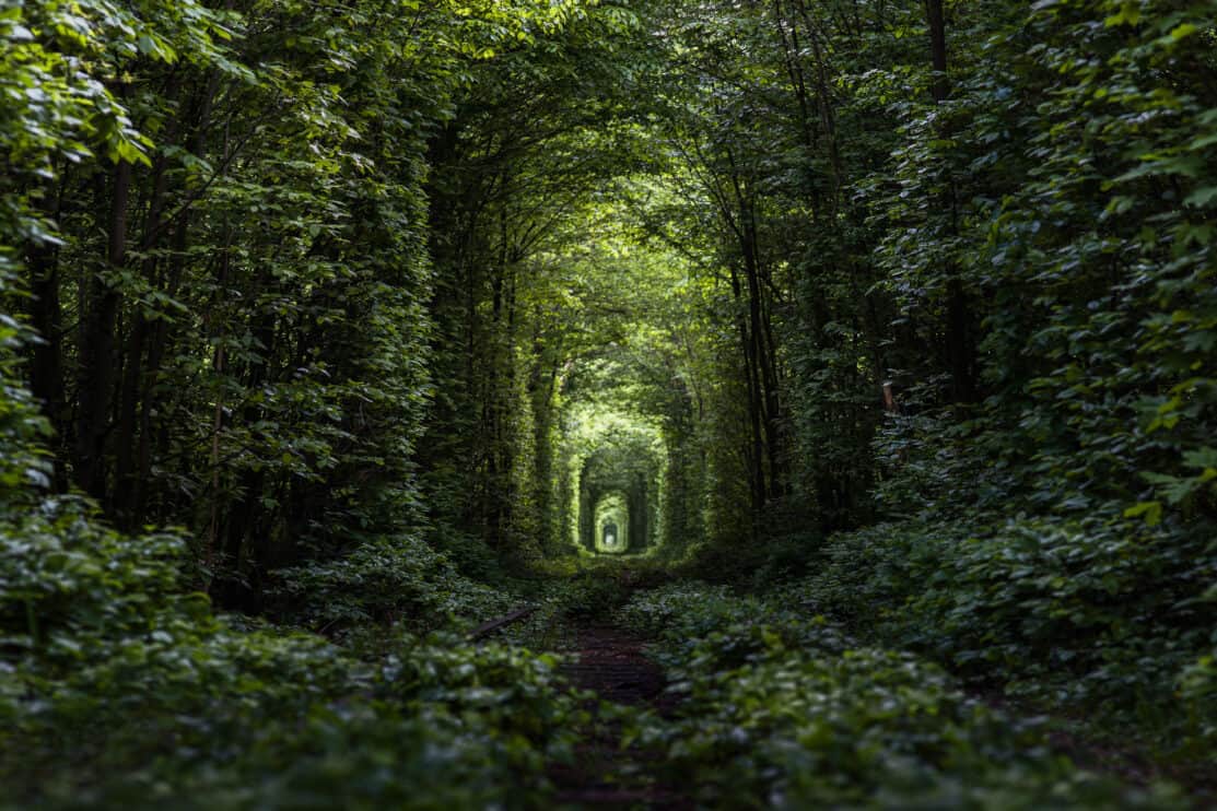 tunnel-of-love