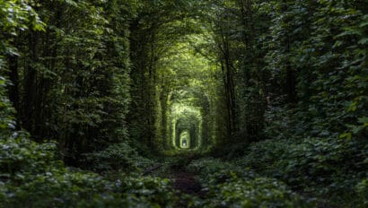 tunnel-of-love