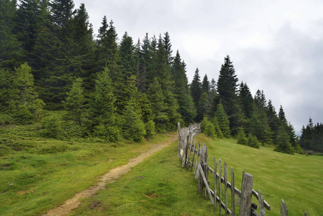 stara-planina-mountain-view-bulgaria