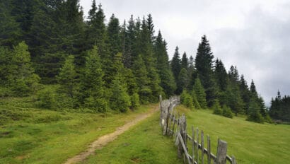 stara-planina-mountain-view-bulgaria