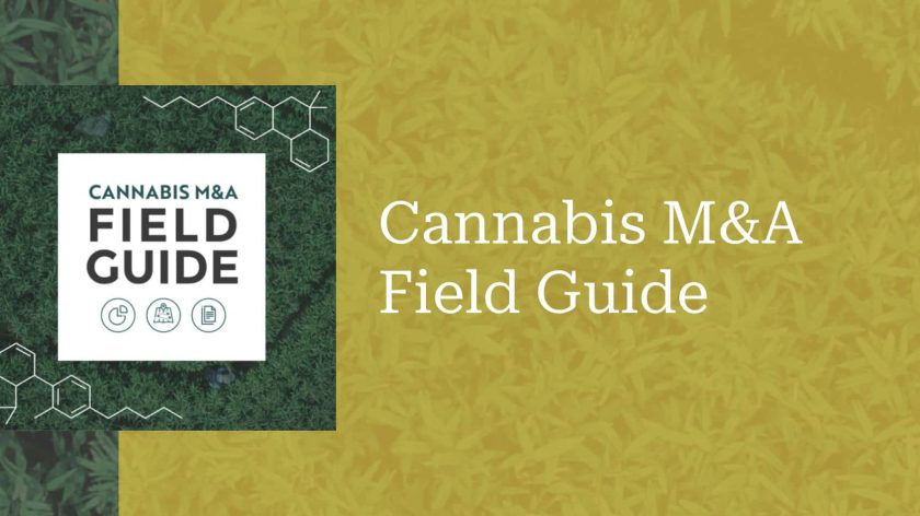 cannabis-ma-field-guide-2