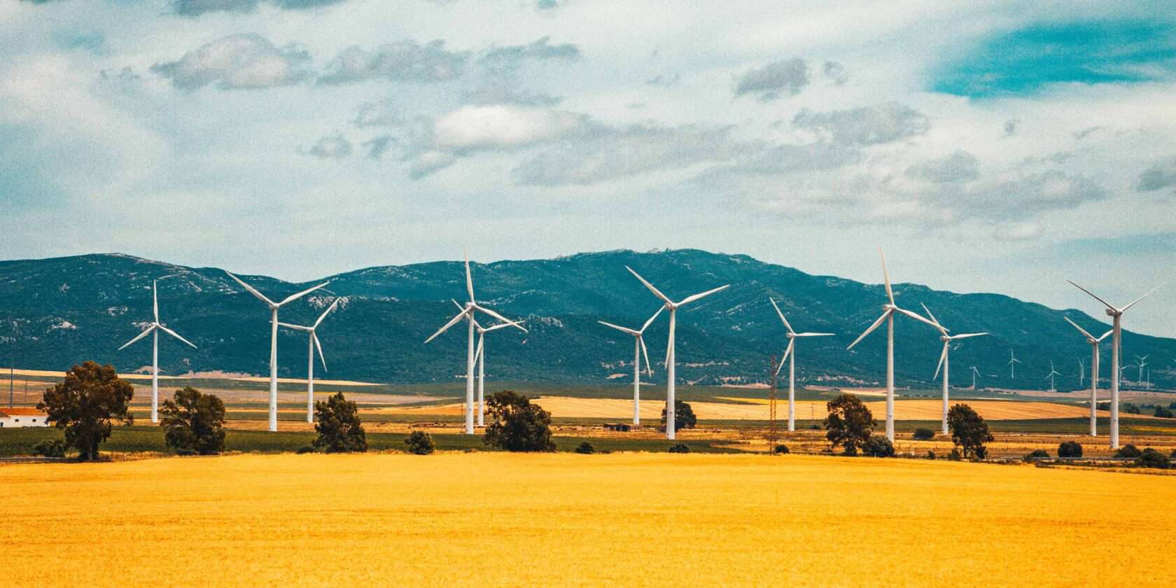 Wind turbines.