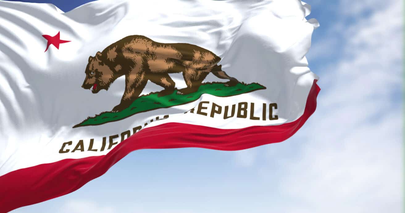 close-up-view-of-the-california-flag-waving